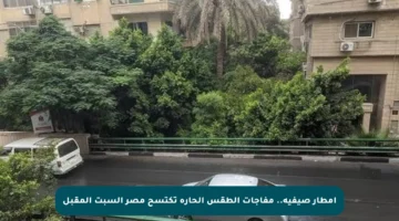 أمطار صيفية.. مفاجآت الطقس الحارة تكتسح مصر السبت المقبل